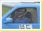 Klicken Sie auf das Bild, um es zu vergrößern